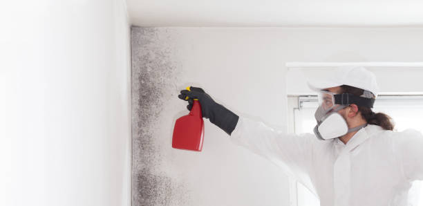 Best Crawl Space Mold Removal  in Owensville, MO